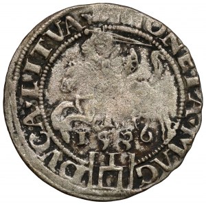 Sigismund I. der Alte, Wilnaer Pfennig 1536 - Brief F - Februar