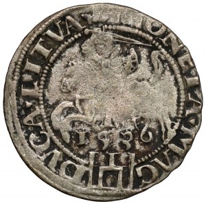 Sigismund I the Old, Vilnius penny 1536 - letter F - February