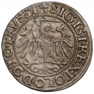 Sigismund I. der Alte, Pfennig Elbląg 1540 - zuletzt