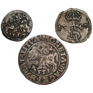 Sigismund II. Augustus, Denar, Dwudenar und halber Pfennig 1551-1567 (3 St.)