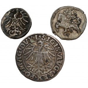 Sigismund II Augustus, Denarius, dwudenar and half-penny 1551-1567 (3pc)