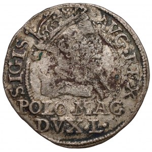 Sigismund II Augustus, Grosz per Polish foot 1568, Tykocin