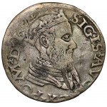 Sigismund II Augustus, Two-horn Vilnius 1565 - very rare