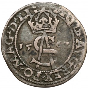 Sigismund II Augustus, Troika Vilnius 1562 - großer Pogon