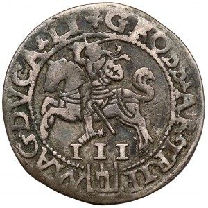 Sigismund II Augustus, Vilnius Troika 1562 - large Pogon