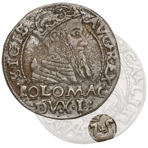 Sigismund II Augustus, Penny per Polish foot 1566, Tykocin - JASTRZĘBIEC