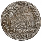Sigismund II Augustus, Penny per Polish foot 1566, Tykocin - JASTRZĘBIEC