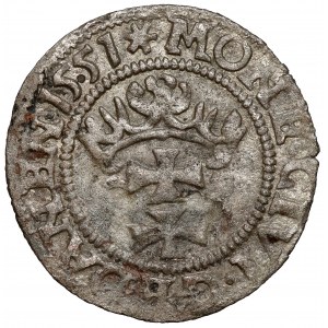 Sigismund II. Augustus, Szeląg Danzig 1551