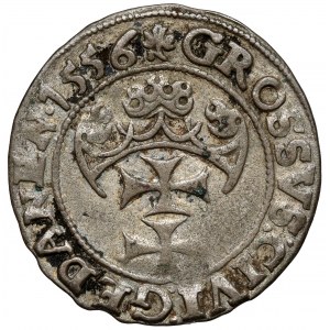 Sigismund II Augustus, Grosz Gdańsk 1556
