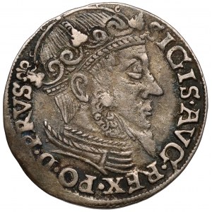 Sigismund II Augustus, Trojak Danzig 1557