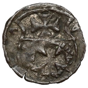 Sigismund II Augustus, Elblag denarius 1554 - rare