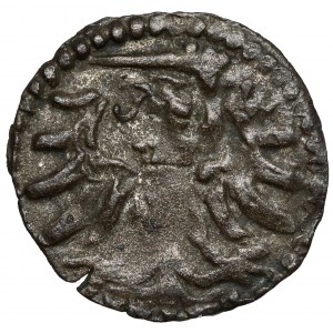 Sigismund II Augustus, Elblag denarius 1554 - rare