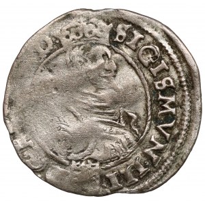 Sigismund III Vasa, Bydgoszcz penny 1596 - rare