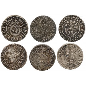 Sigismund III Vasa, Half-tracks Bydgoszcz 1623-1627 (6pcs)