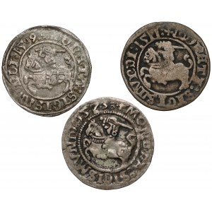 Sigismund I the Old, Vilnius half-penny 1509-1523 (3pcs)