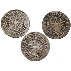 Sigismund I the Old, Vilnius half-penny 1509-1523 (3pcs)