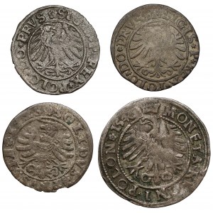 Sigismund I the Old, Shekels and Pennies 1528-1546 (4pc)