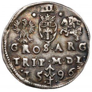 Sigismund III. Vasa, Troika Vilnius 1596