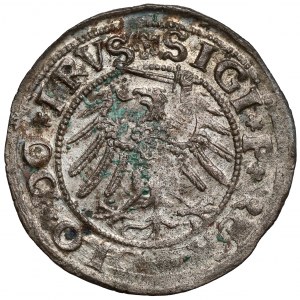 Sigismund I the Old, Elblag 1532