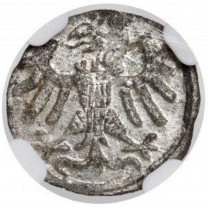 Sigismund I the Old, Danzig denarius without date - letters MS - BEAUTIFUL