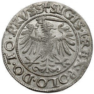 Sigismund I the Old, Penny Elblag 1539 - beautiful