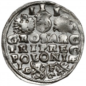 Sigismund III Vasa, Troika Lublin 1596