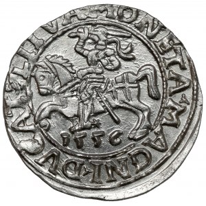 Sigismund II Augustus, Half-grosz Vilnius 1556