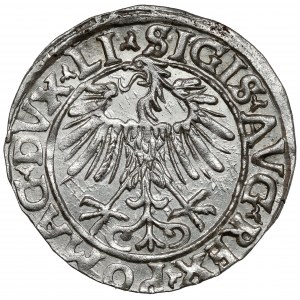 Sigismund II Augustus, Half-grosz Vilnius 1556