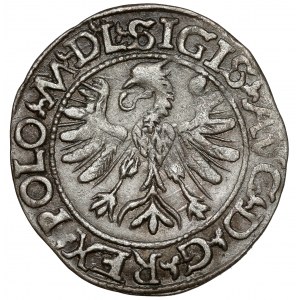 Zygmunt II August, Półgrosz Tykocin 1566 - Jastrzębiec