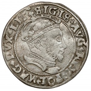 Sigismund II. Augustus, litauischer Fußpfennig 1546, Vilnius