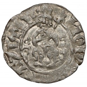 Kazimierz III. der Große, Halbergroschen (Quarto) ohne Datum, Krakau