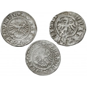 Casimir Jagiellon, Alexander, Sigismund I, Half-penny, set (3pcs)
