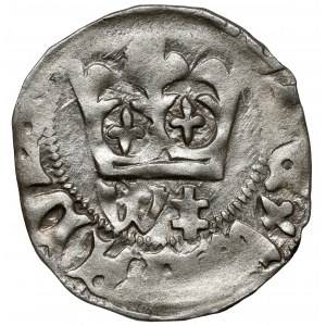 Ladislaus II Jagiello, Cracow half-penny - type 19 - W‡ marks.