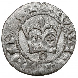 Ladislaus II Jagiello, Cracow half-penny - type 16 - mark O