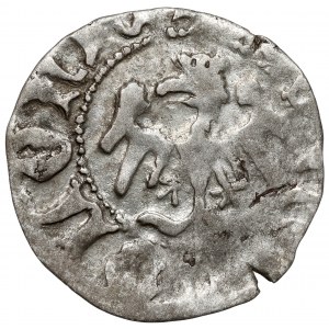 Ladislaus II Jagiello, Cracow half-penny - type 12 - without sign