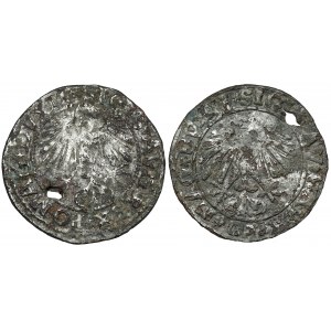 Sigismund II Augustus, Vilnius halber Pfennig - Fälschungen der Zeit (2 St.)