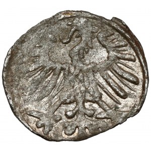 Sigismund II Augustus, Vilnius Denarius 1557