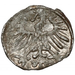 Zygmunt II August, Denar Wilno 1557