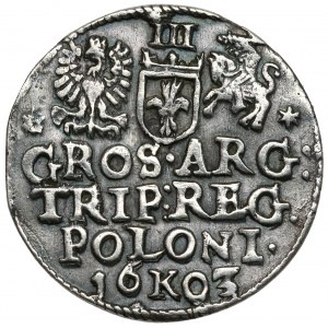 Sigismund III. Vasa, Trojak Kraków 1603