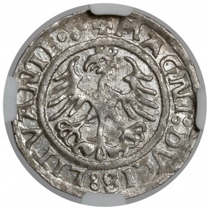 Sigismund I. der Alte, Vilnius 1521 halber Pfennig - schön und selten