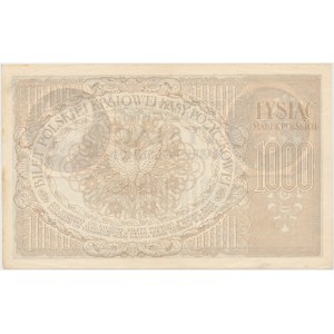 1.000 mkp 1919 - Ser.ZC