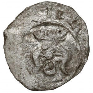 Kasimir III. der Große, Denar von Krakau - KAZIMIR