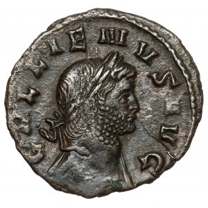 Gallien (258-268 n.e.) DENAR, Rzym - rzadki nominał