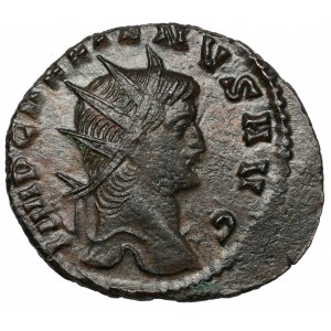 Gallien (258-268 n.e.) Antoninian, Rzym - gryfon