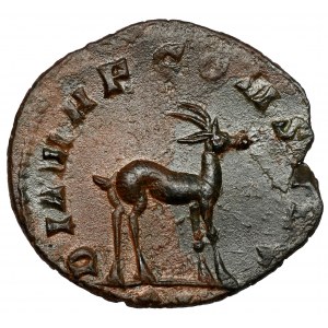 Gallien (258-268 n. Chr.) Antoninian, Rom - Antilope