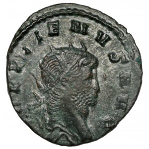 Gallien (258-268 n. Chr.) Antoninian, Rom - männlicher Panther