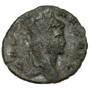 Gallien (258-268 n. Chr.) Antoninian, Rom - Stiere