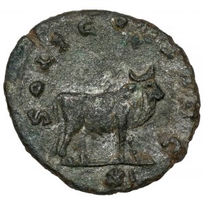 Gallien (258-268 n.e.) Antoninian, Rzym - byk