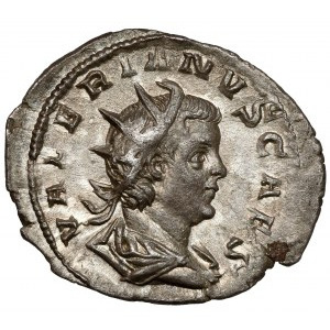 Valerian II (253-257 n. Chr.) Antoninian, Köln
