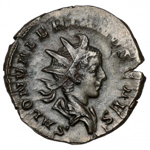 Saloninus (258-260 n. Chr.) Antoninian, Köln - selten